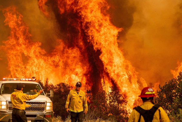 fire insurance california